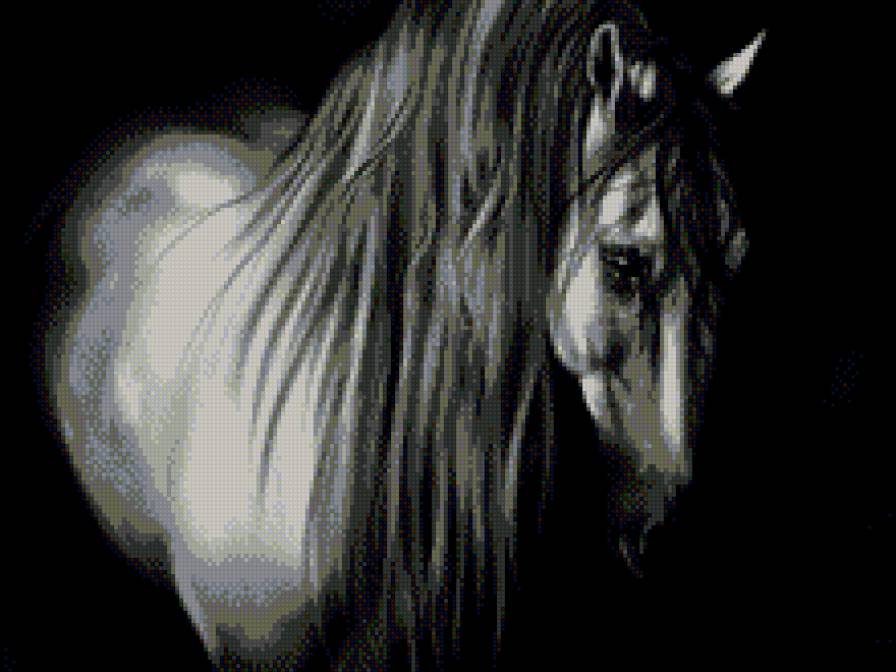 красивые лошади (подборка) - кони, монохром, животные, лошадь, черно белое, год лошади - предпросмотр