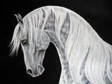 Оригинал схемы вышивки «красивые лошади (подборка)» (№525270)
