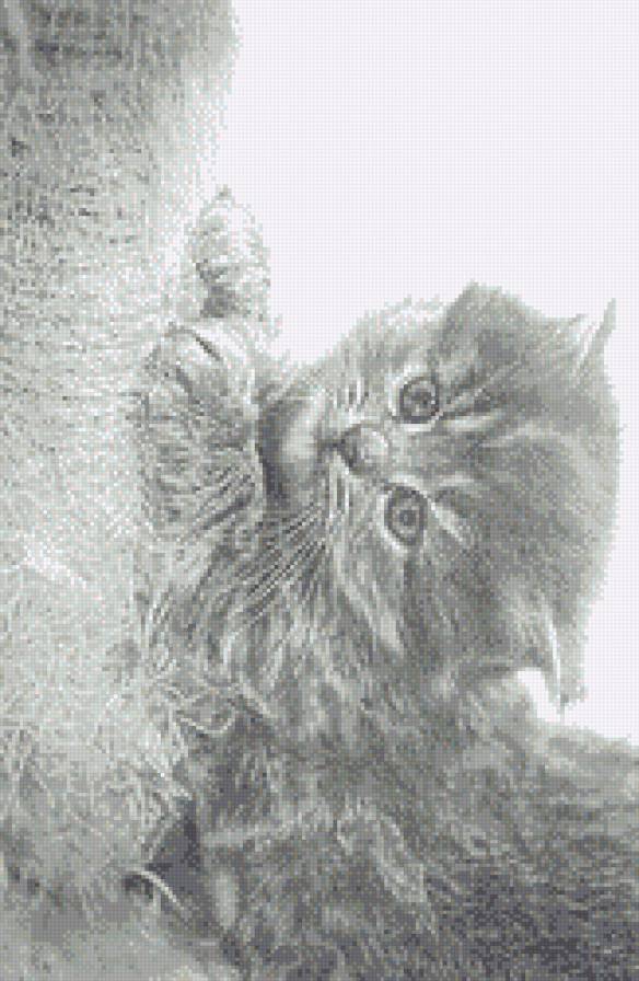 Шалунишка - кошки, котенок, монохром, животные - предпросмотр