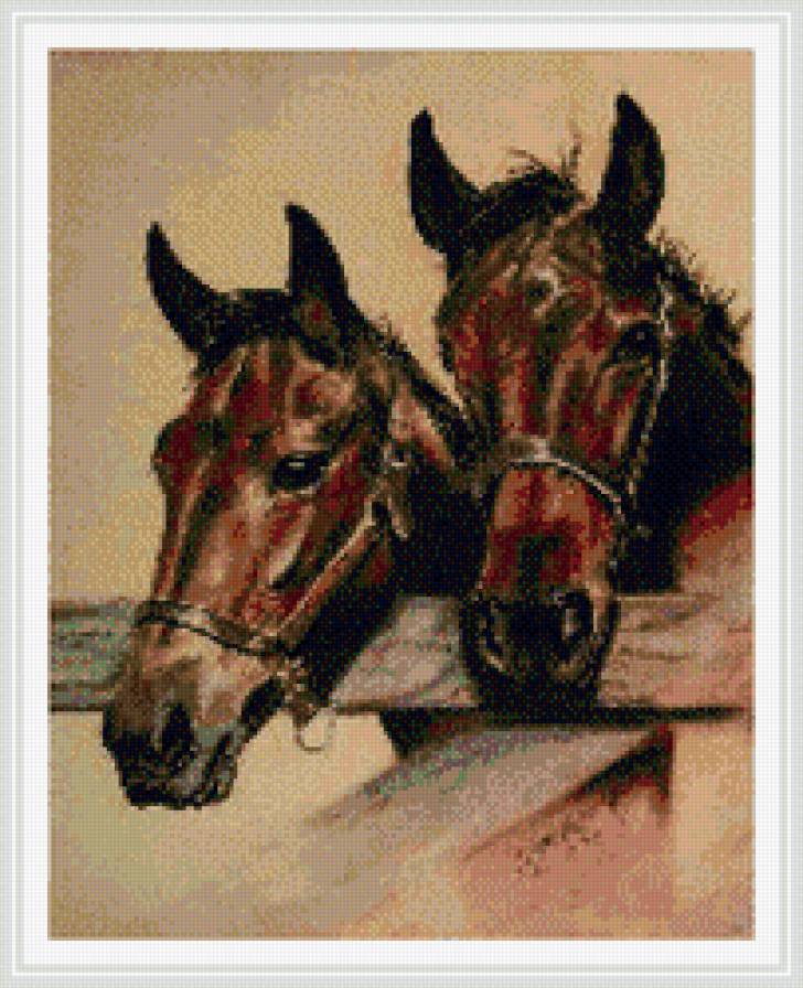 лошади - пара, животные, кони, лошади - предпросмотр