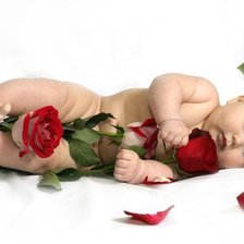 Малыш и роза