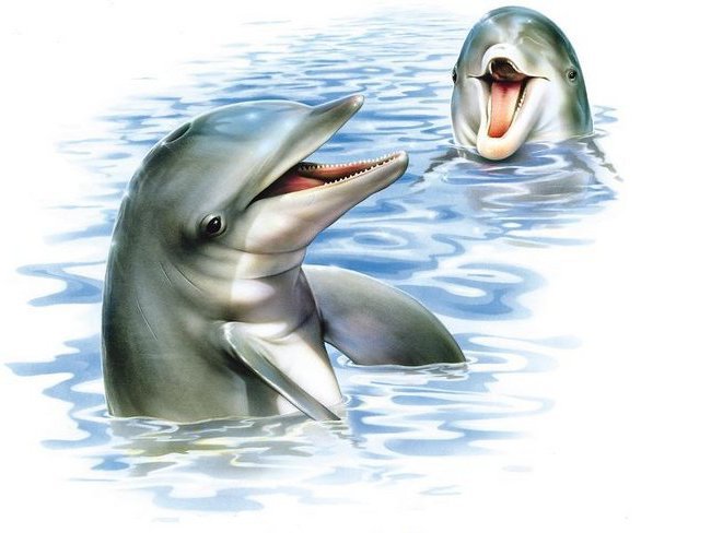 дельфины 2 - море, природа, волна, дельфины, пейзаж - оригинал