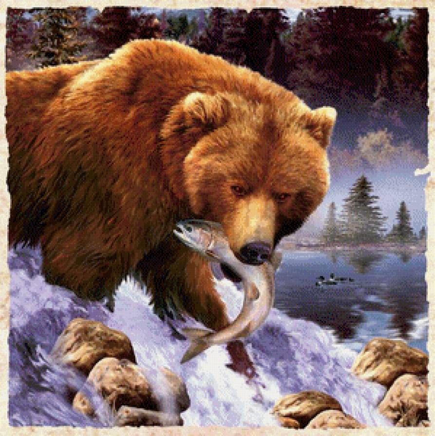 Охотник - рыба, животные, медведь, море - предпросмотр