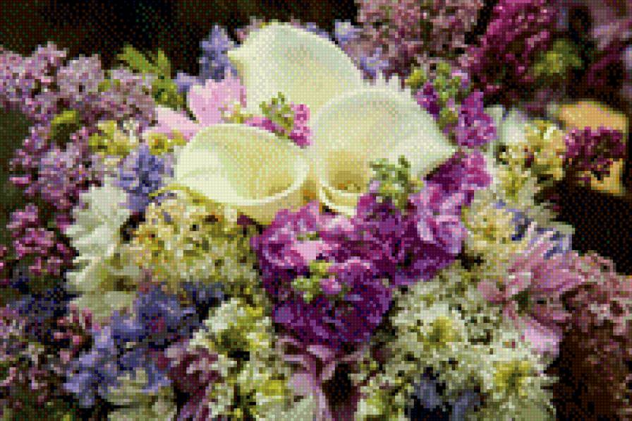 цветы - предпросмотр