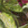 Предпросмотр схемы вышивки «цветы» (№525713)