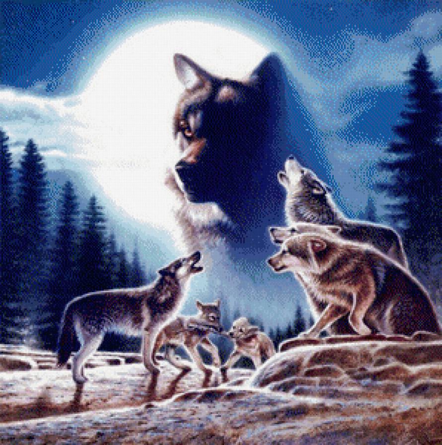 Волки - волк, животные - предпросмотр