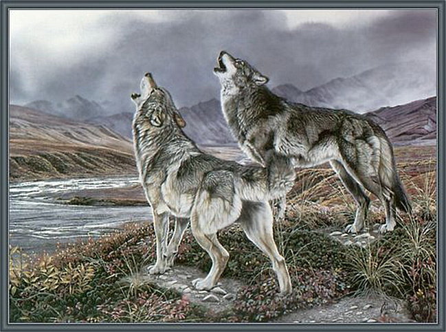 Волки - животные, волк - оригинал