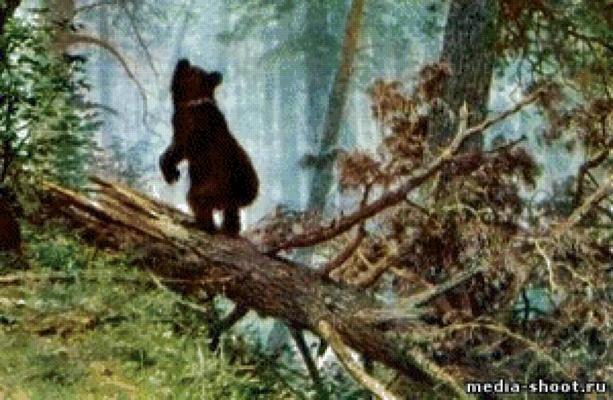 "Мишки в лесу" Иван Шишкин ч. 4 низ - шишкин, иван, картины, мишки в лесу - предпросмотр