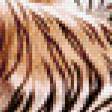 Предпросмотр схемы вышивки «Тигры» (№526049)