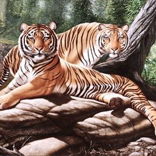Оригинал схемы вышивки «Тигры» (№526049)