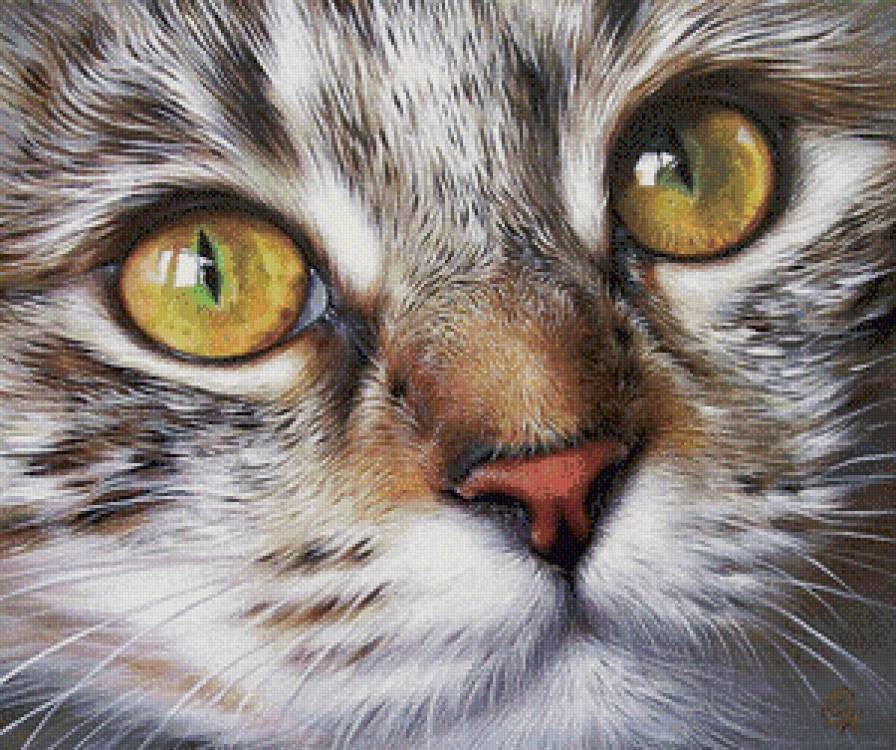 взгляд - предпросмотр