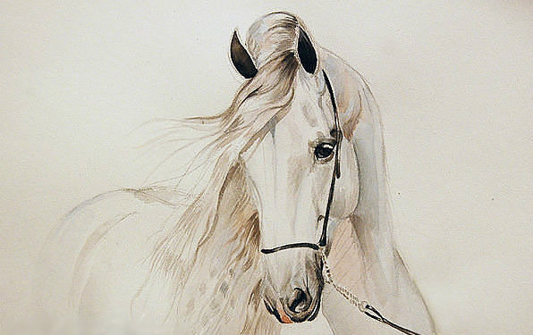 №526168 - оригинал