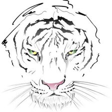 Оригинал схемы вышивки «Тигр.» (№526193)