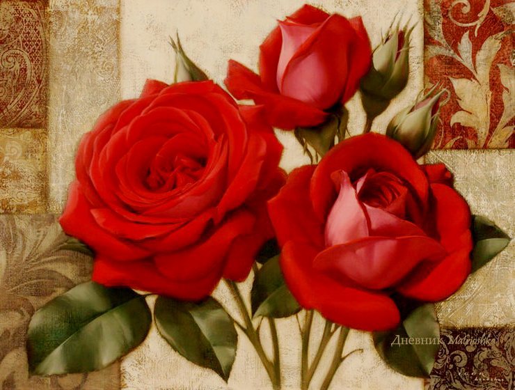 Красные розы - розы, цветы - оригинал