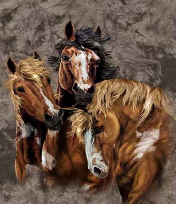 Лошади - лошади, животные - оригинал