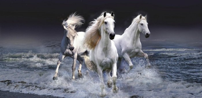 Лошади - животные, лошади - оригинал