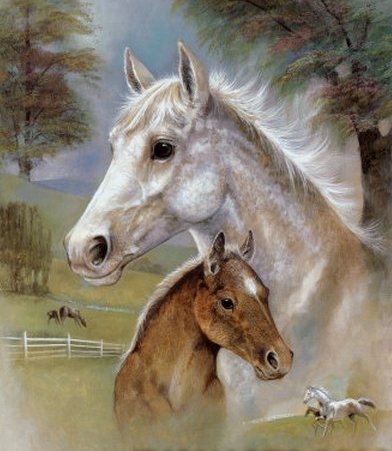 Лошадь - лошади, животные - оригинал