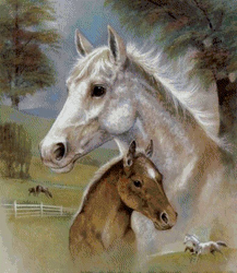 Лошадь - животные, лошади - предпросмотр