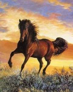 Лошадь - лошади, животные - оригинал