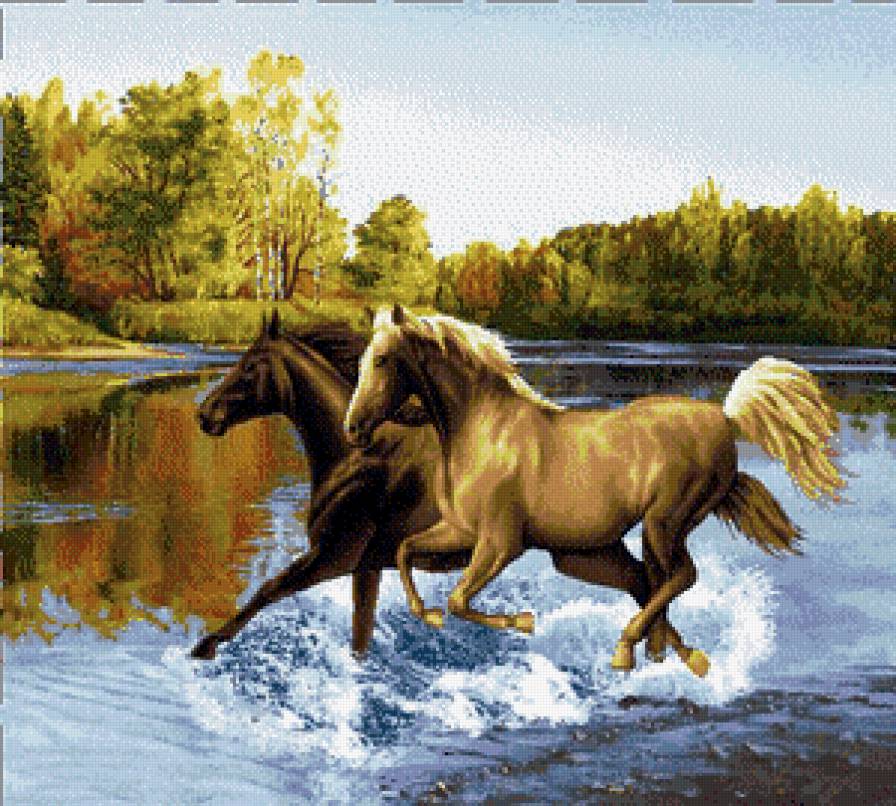 Лошади - лошади, животные - предпросмотр