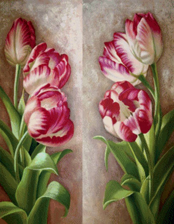 №526448 - цветы - предпросмотр