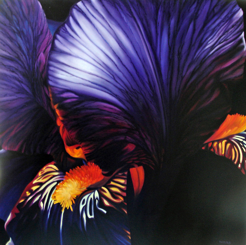 №526536 - цветы - оригинал