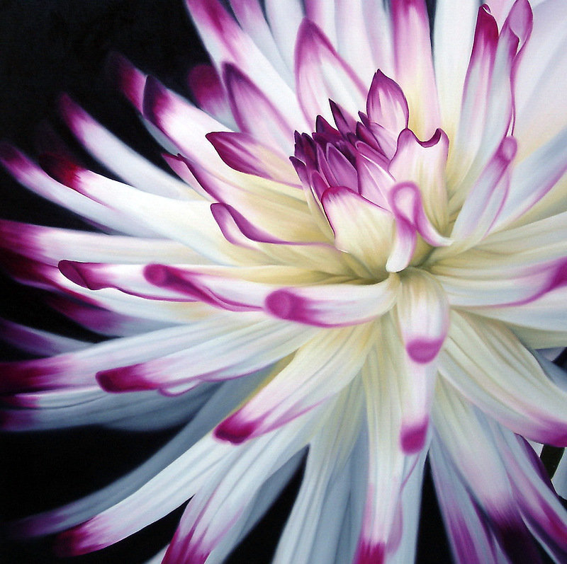 №526539 - цветы - оригинал