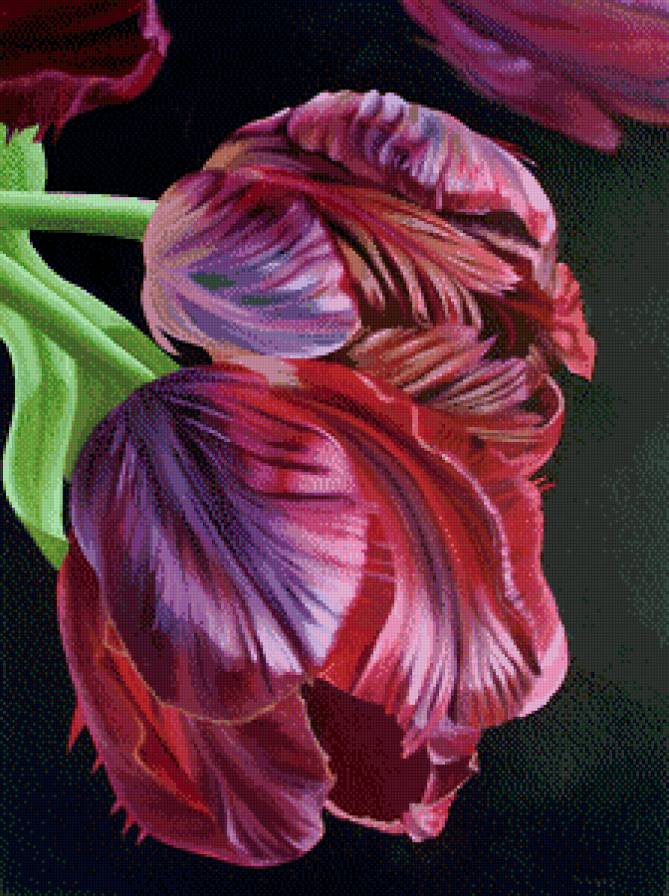 №526543 - цветы - предпросмотр