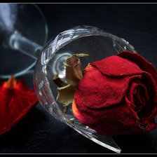 Схема вышивки «№526700»