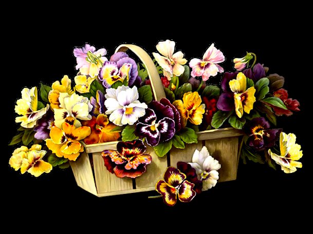 Анютины глазки - корзина, подарок, цветы - оригинал