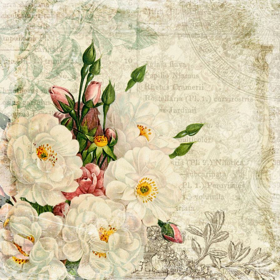 Жасмин - роза, ретро, декупаж, цветы, весна - оригинал
