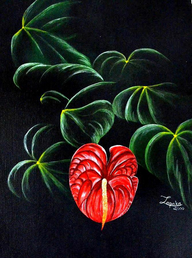 №527025 - цветы, на черном - оригинал