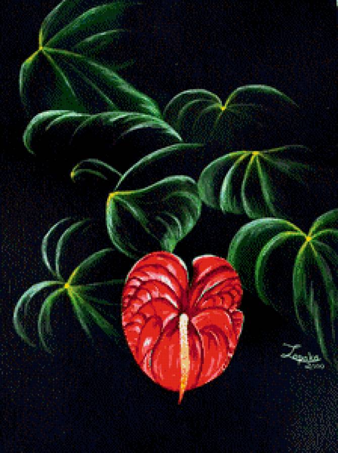 №527025 - на черном, цветы - предпросмотр