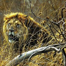 Схема вышивки «Царь»