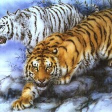 Оригинал схемы вышивки «Тигры» (№527036)