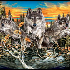Оригинал схемы вышивки «Волки» (№527043)