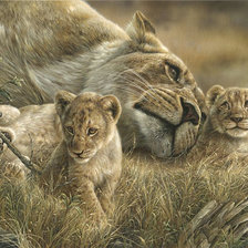 Львица с детьми