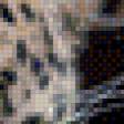 Предпросмотр схемы вышивки «леопард» (№527169)