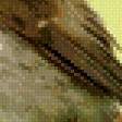 Предпросмотр схемы вышивки «зяблик на терновой ветке» (№527181)