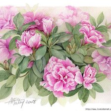 Схема вышивки «Букет цветов»