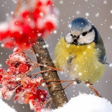 Схема вышивки «№527190»