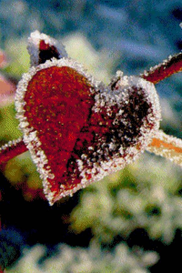 №527191 - предпросмотр