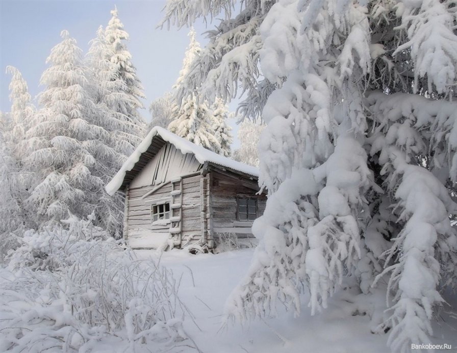 избушка в зимнем лесу - пейзаж, зима, елки, снег, новый год, лес, сосны, рождество, ели, избушка - оригинал