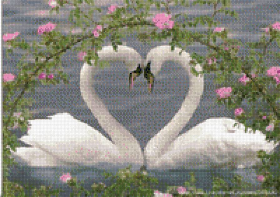 Лебеди - предпросмотр