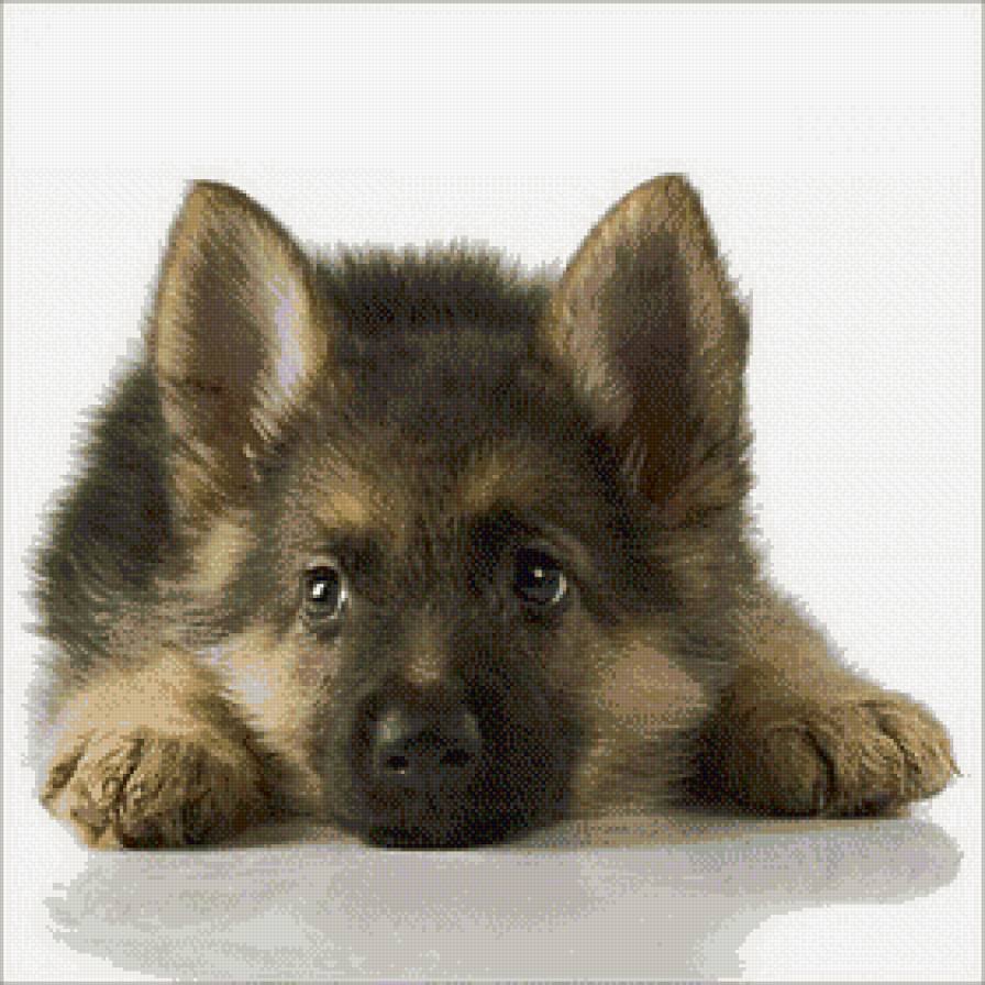 №527338 - предпросмотр