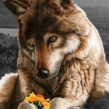 Схема вышивки «№527340»