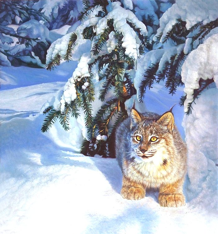 №527358 - зима, животные - оригинал