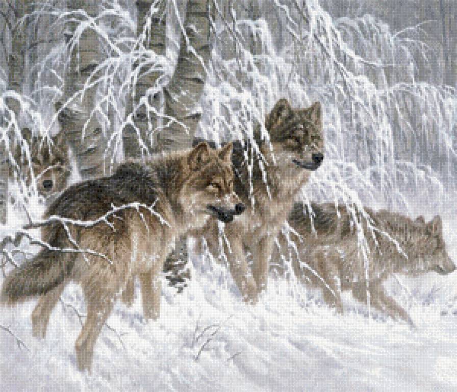 №527405 - животные, зима, волки - предпросмотр