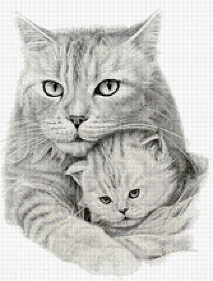 Материнство... - пара, кошки, материнство, монохром, животные, любовь - предпросмотр