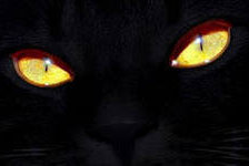 Схема вышивки «глаза чёрной кошки»